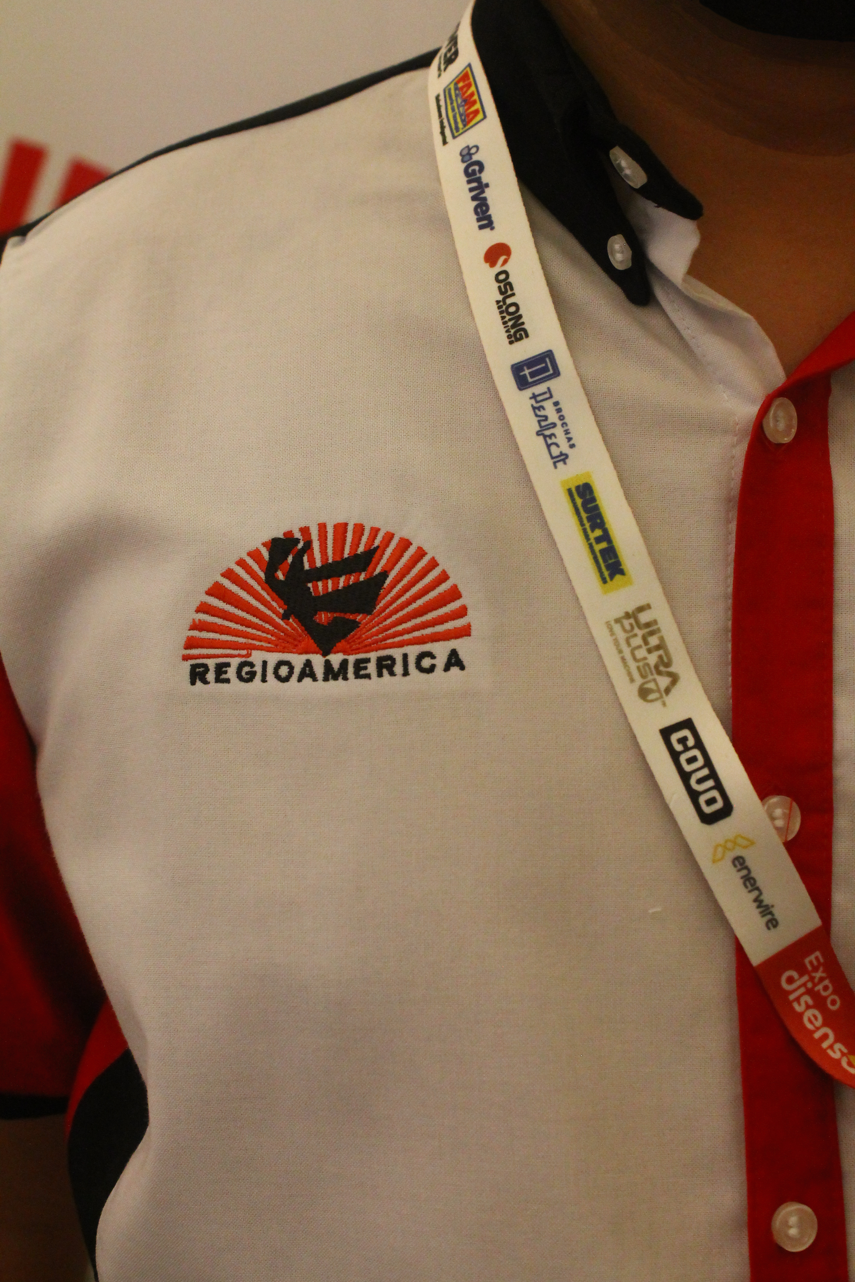 Historia de Regioamerica